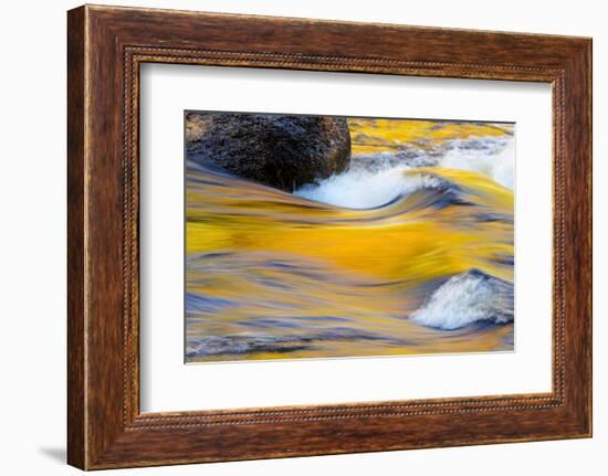 Fall Colors Along the Swift River in New Hampshire's White Mountain NF-Jerry & Marcy Monkman-Framed Photographic Print