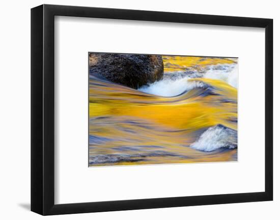 Fall Colors Along the Swift River in New Hampshire's White Mountain NF-Jerry & Marcy Monkman-Framed Photographic Print