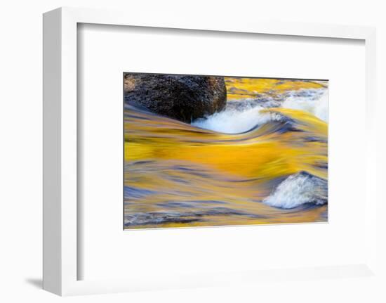 Fall Colors Along the Swift River in New Hampshire's White Mountain NF-Jerry & Marcy Monkman-Framed Photographic Print