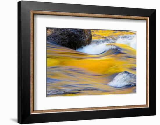 Fall Colors Along the Swift River in New Hampshire's White Mountain NF-Jerry & Marcy Monkman-Framed Photographic Print