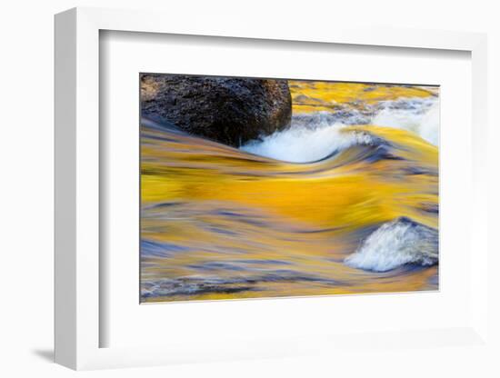 Fall Colors Along the Swift River in New Hampshire's White Mountain NF-Jerry & Marcy Monkman-Framed Photographic Print