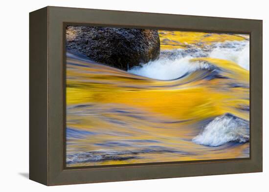Fall Colors Along the Swift River in New Hampshire's White Mountain NF-Jerry & Marcy Monkman-Framed Premier Image Canvas