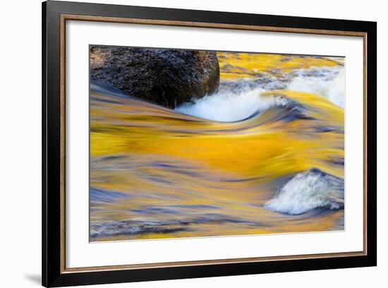 Fall Colors Along the Swift River in New Hampshire's White Mountain NF-Jerry & Marcy Monkman-Framed Photographic Print