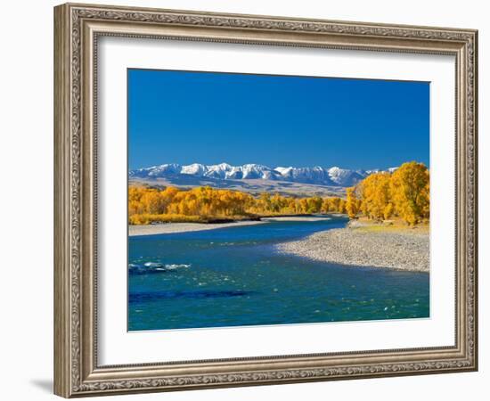 Fall Colors Along the Yellowstone River Below the Absaroka Mountains Near Springdale, Montana-John Lambing-Framed Photographic Print