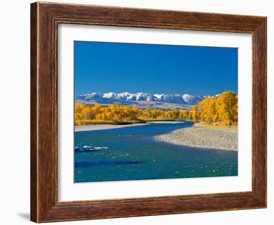 Fall Colors Along the Yellowstone River Below the Absaroka Mountains Near Springdale, Montana-John Lambing-Framed Photographic Print