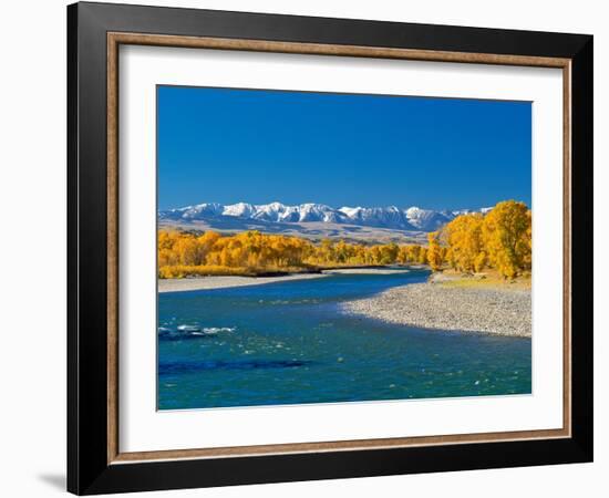 Fall Colors Along the Yellowstone River Below the Absaroka Mountains Near Springdale, Montana-John Lambing-Framed Photographic Print