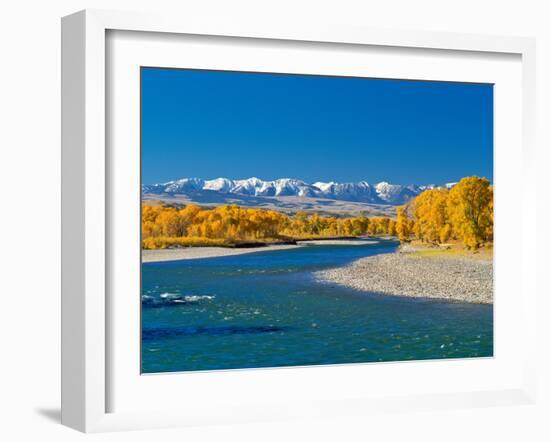 Fall Colors Along the Yellowstone River Below the Absaroka Mountains Near Springdale, Montana-John Lambing-Framed Photographic Print