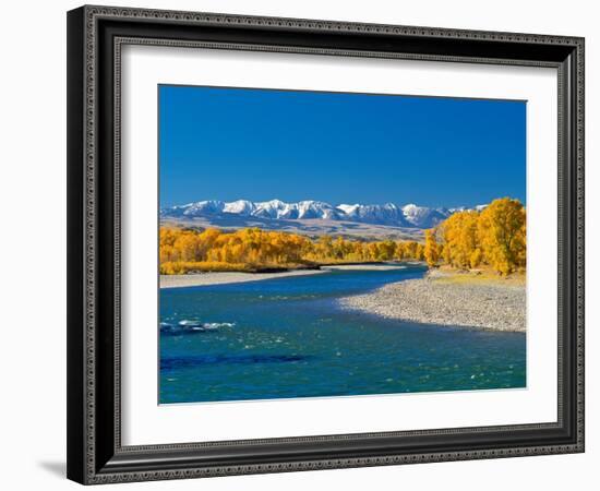 Fall Colors Along the Yellowstone River Below the Absaroka Mountains Near Springdale, Montana-John Lambing-Framed Photographic Print