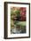 Fall Colors, Arboretum, Seattle, Washington, USA-Tom Norring-Framed Photographic Print