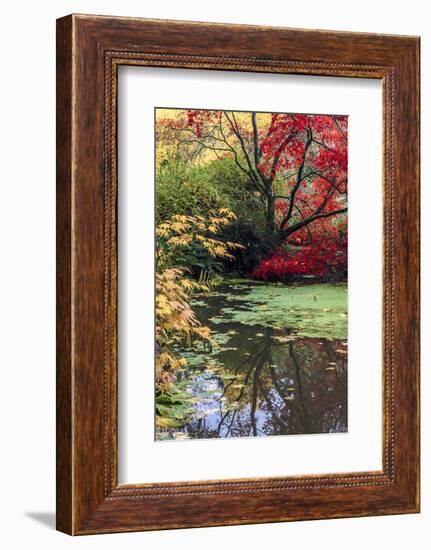 Fall Colors, Arboretum, Seattle, Washington, USA-Tom Norring-Framed Photographic Print