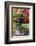 Fall Colors, Arboretum, Seattle, Washington, USA-Tom Norring-Framed Photographic Print