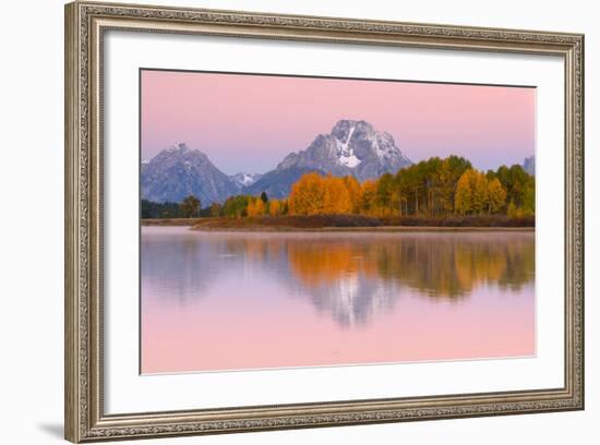 Fall Colors At Oxbow Bend, Grand Teton National Park, Wyoming-Austin Cronnelly-Framed Photographic Print