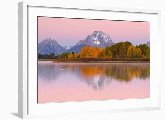 Fall Colors At Oxbow Bend, Grand Teton National Park, Wyoming-Austin Cronnelly-Framed Photographic Print