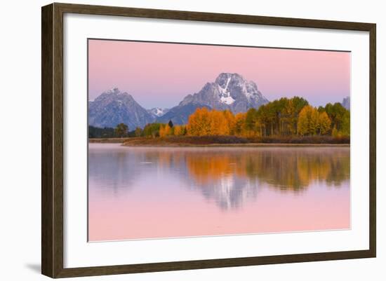 Fall Colors At Oxbow Bend, Grand Teton National Park, Wyoming-Austin Cronnelly-Framed Photographic Print