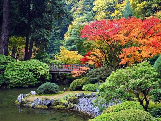 Missing The Portland Japanese Garden This Fall Winter Show Us Photos Oregonlive Com
