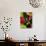 Fall Colors I-Monika Burkhart-Photographic Print displayed on a wall