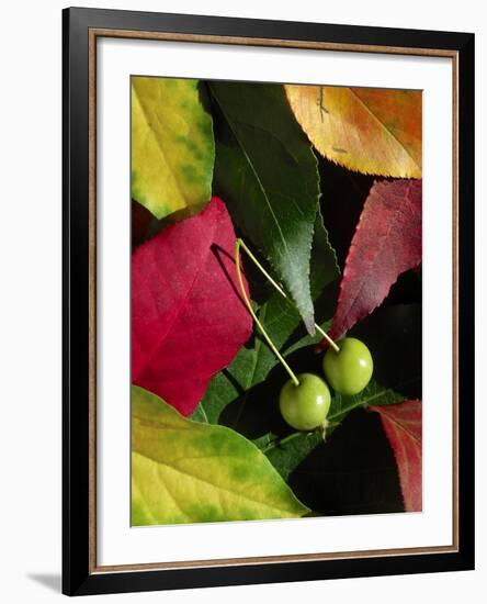 Fall Colors I-Monika Burkhart-Framed Photographic Print