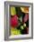 Fall Colors I-Monika Burkhart-Framed Photographic Print