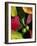 Fall Colors I-Monika Burkhart-Framed Photographic Print