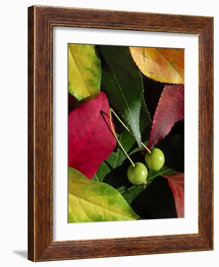 Fall Colors I-Monika Burkhart-Framed Photographic Print