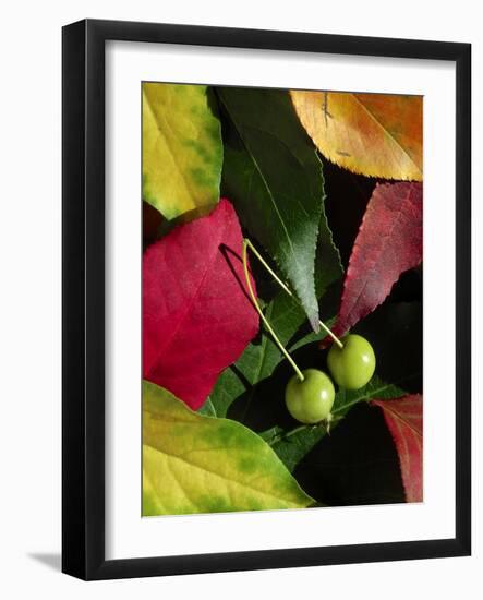 Fall Colors I-Monika Burkhart-Framed Photographic Print