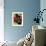 Fall Colors I-Monika Burkhart-Framed Photographic Print displayed on a wall