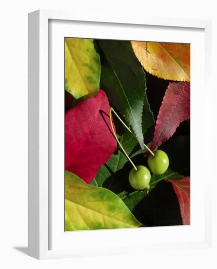 Fall Colors I-Monika Burkhart-Framed Photographic Print