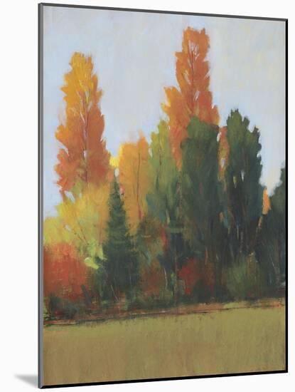 Fall Colors I-Tim OToole-Mounted Art Print