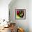 Fall Colors II-Monika Burkhart-Framed Photographic Print displayed on a wall