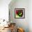 Fall Colors II-Monika Burkhart-Framed Photographic Print displayed on a wall