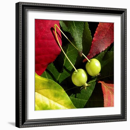 Fall Colors II-Monika Burkhart-Framed Photographic Print