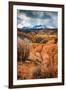 Fall Colors in Colorado-Belinda Shi-Framed Photographic Print