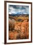 Fall Colors in Colorado-Belinda Shi-Framed Photographic Print