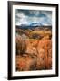 Fall Colors in Colorado-Belinda Shi-Framed Photographic Print