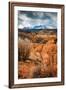 Fall Colors in Colorado-Belinda Shi-Framed Photographic Print