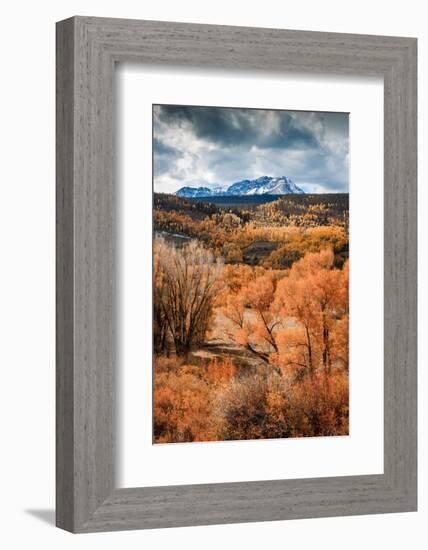 Fall Colors in Colorado-Belinda Shi-Framed Photographic Print