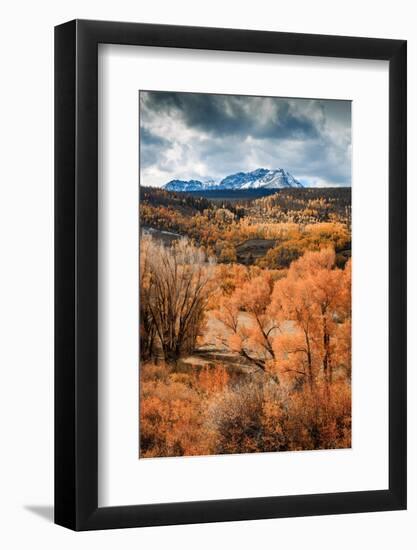 Fall Colors in Colorado-Belinda Shi-Framed Photographic Print