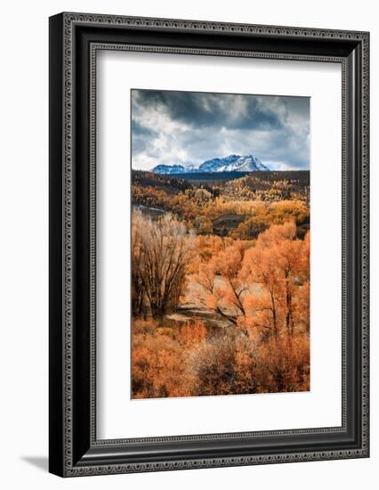 Fall Colors in Colorado-Belinda Shi-Framed Photographic Print