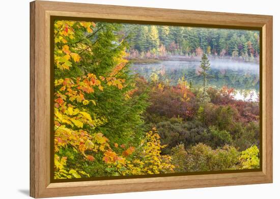 Fall Colors in the Bog Surrounding Round Pond in Barrington, New Hampshire-Jerry and Marcy Monkman-Framed Premier Image Canvas