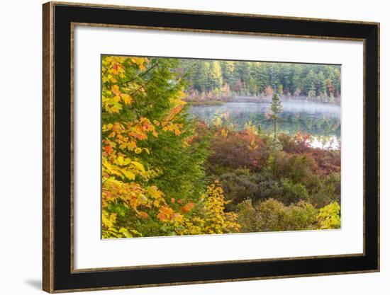 Fall Colors in the Bog Surrounding Round Pond in Barrington, New Hampshire-Jerry and Marcy Monkman-Framed Photographic Print