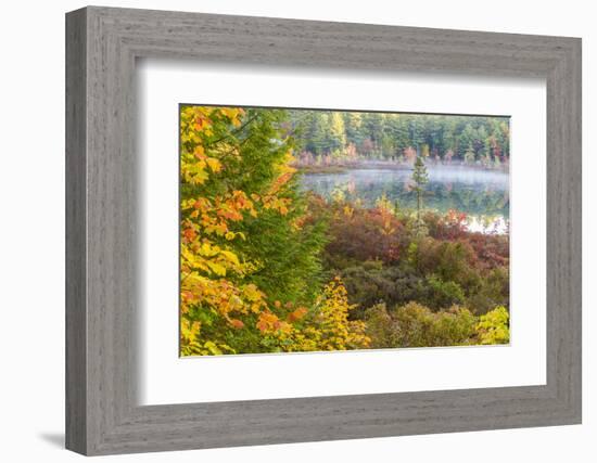 Fall Colors in the Bog Surrounding Round Pond in Barrington, New Hampshire-Jerry and Marcy Monkman-Framed Photographic Print