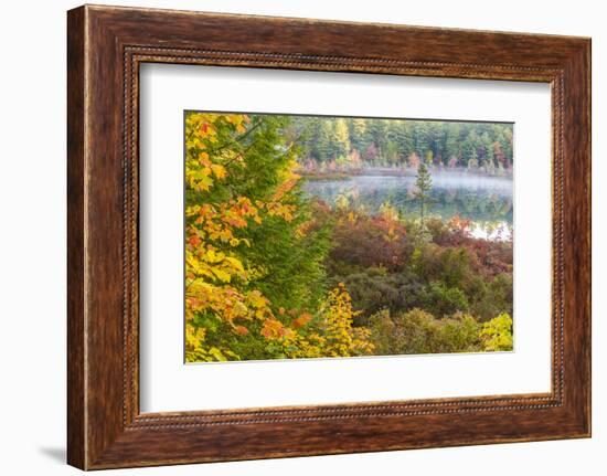 Fall Colors in the Bog Surrounding Round Pond in Barrington, New Hampshire-Jerry and Marcy Monkman-Framed Photographic Print