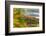 Fall Colors in the Bog Surrounding Round Pond in Barrington, New Hampshire-Jerry and Marcy Monkman-Framed Photographic Print