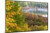 Fall Colors in the Bog Surrounding Round Pond in Barrington, New Hampshire-Jerry and Marcy Monkman-Mounted Photographic Print