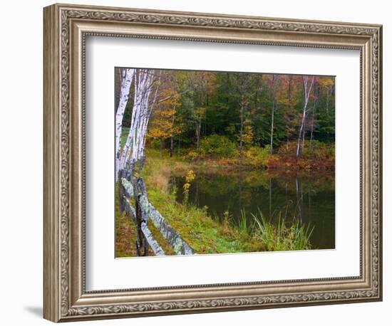 Fall Colors in the Galton Pond, Gralton, Vermont, USA-Joe Restuccia III-Framed Photographic Print