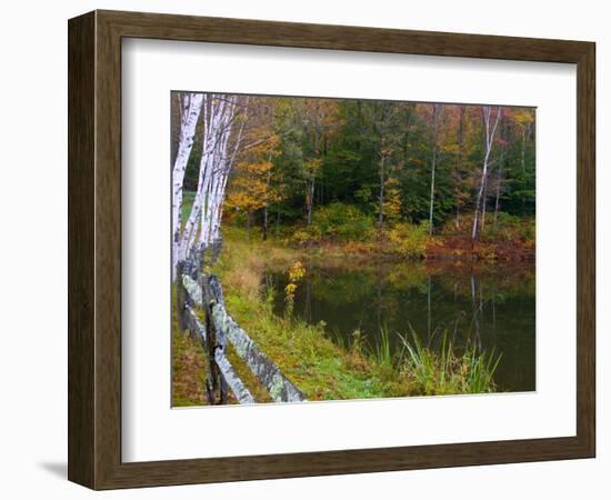 Fall Colors in the Galton Pond, Gralton, Vermont, USA-Joe Restuccia III-Framed Photographic Print