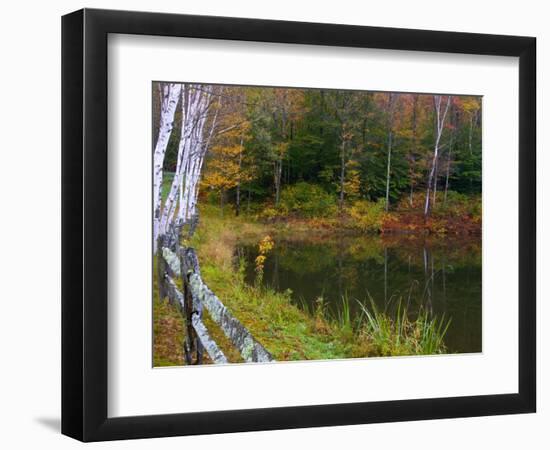 Fall Colors in the Galton Pond, Gralton, Vermont, USA-Joe Restuccia III-Framed Photographic Print