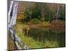 Fall Colors in the Galton Pond, Gralton, Vermont, USA-Joe Restuccia III-Mounted Photographic Print