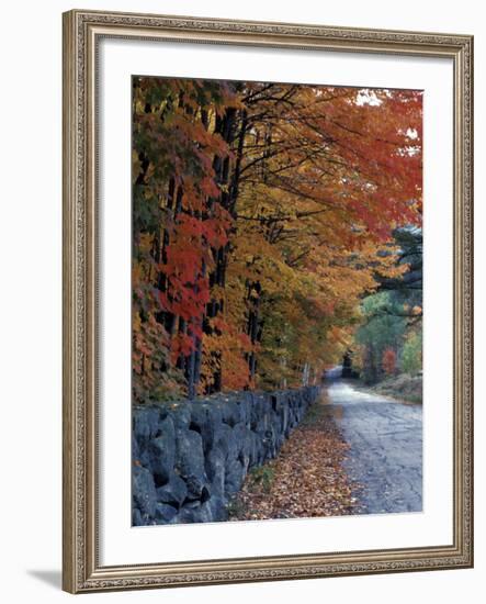 Fall Colors in the White Mountains, New Hampshire, USA-Jerry & Marcy Monkman-Framed Photographic Print