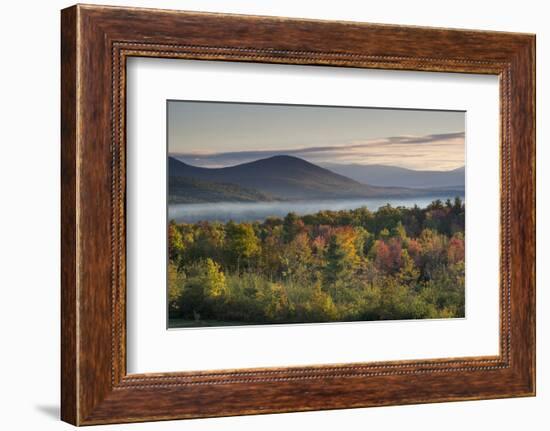 Fall Colors in the White Mountains, New Hampshire-Howie Garber-Framed Photographic Print